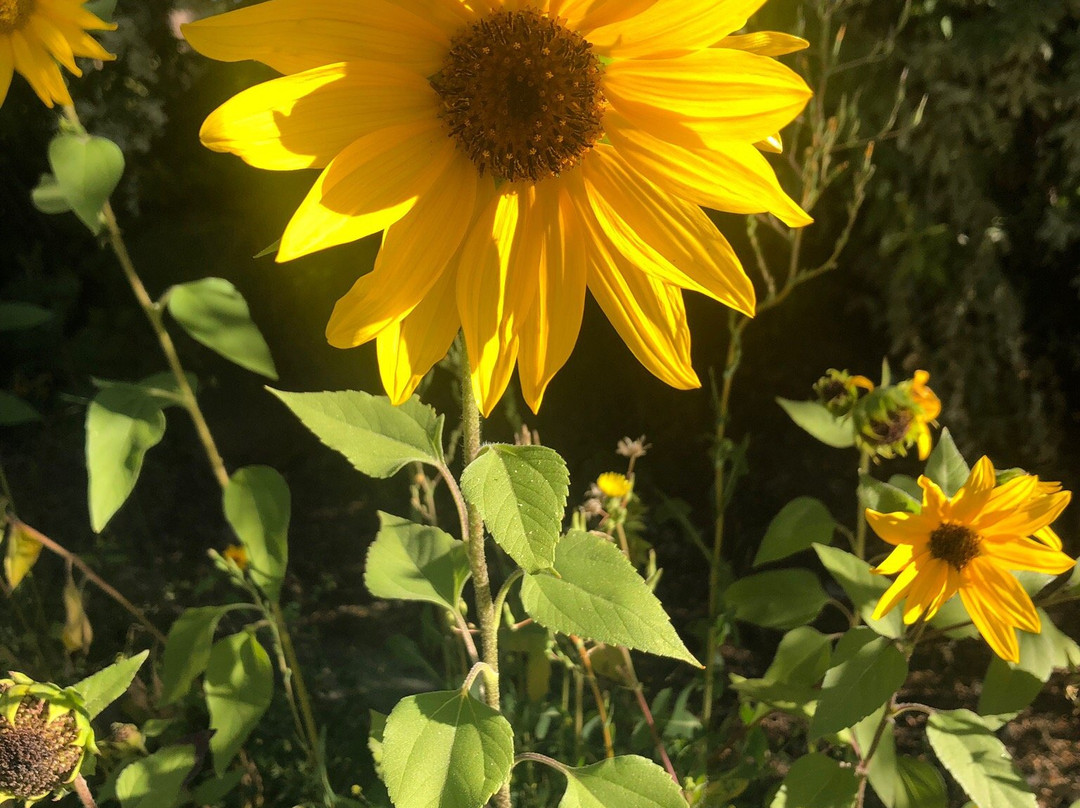 Gravity Haus Truckee-Tahoe主图