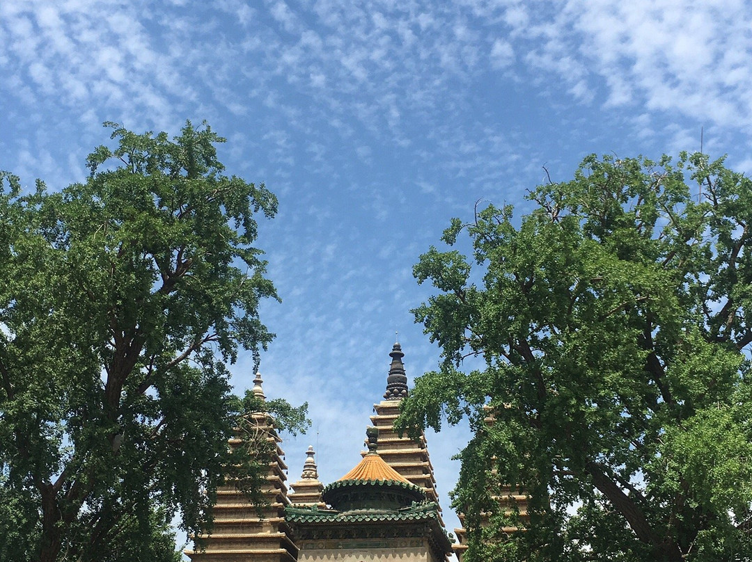 石刻艺术博物馆-北京市必去景点