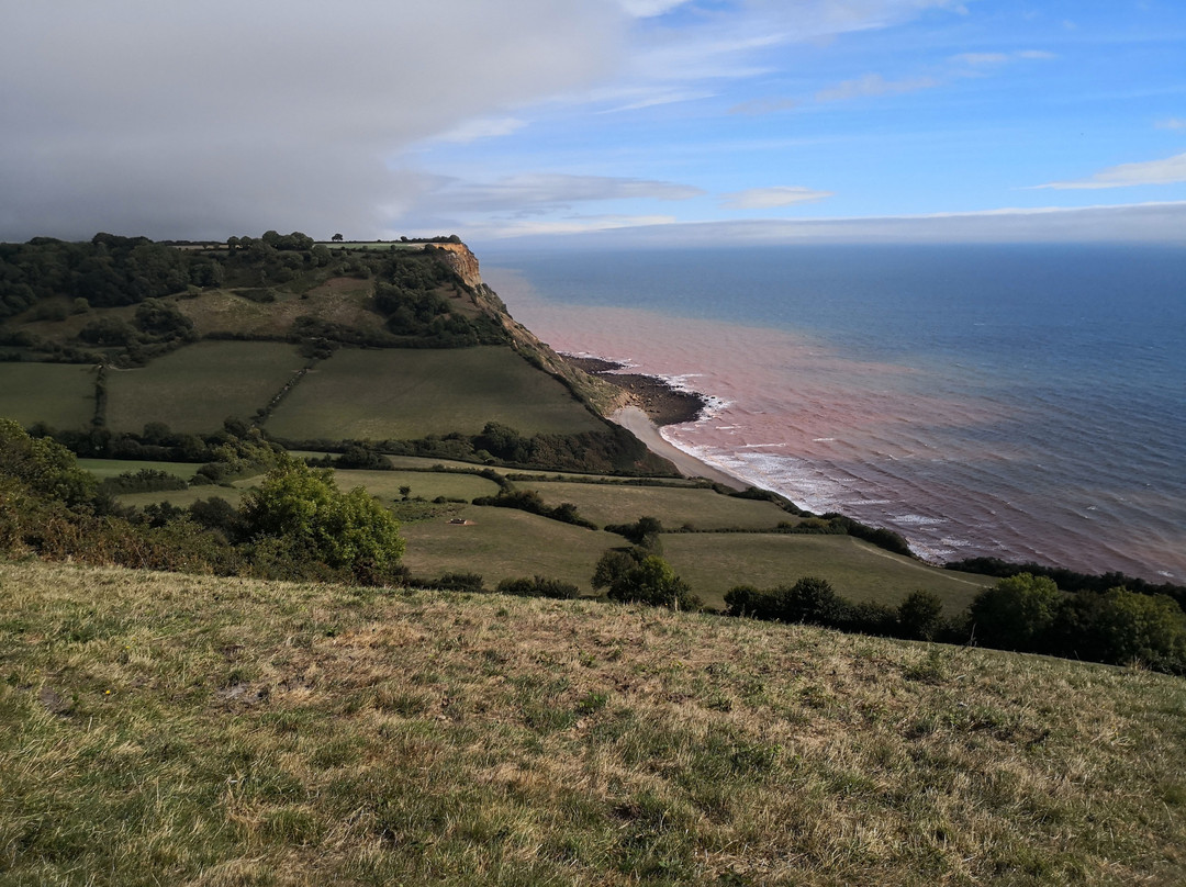 Sidmouth Park-伦敦必去景点