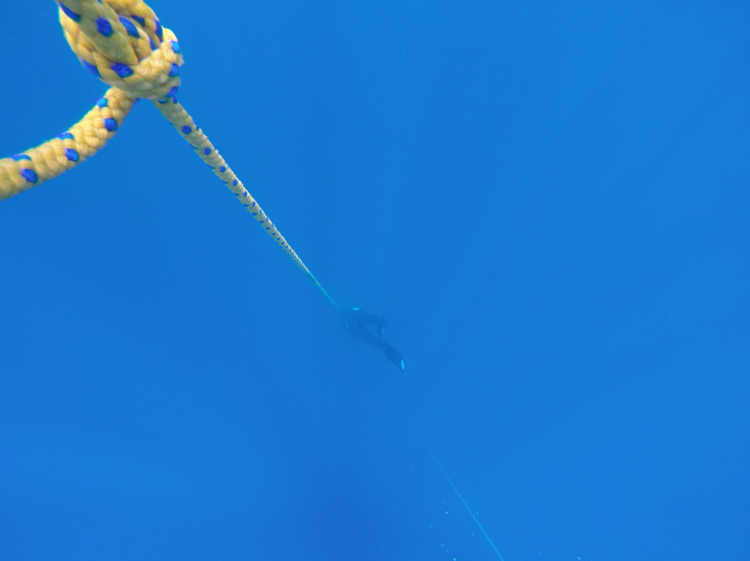 Apneiste. FR-Carry-le-Rouet必去景点