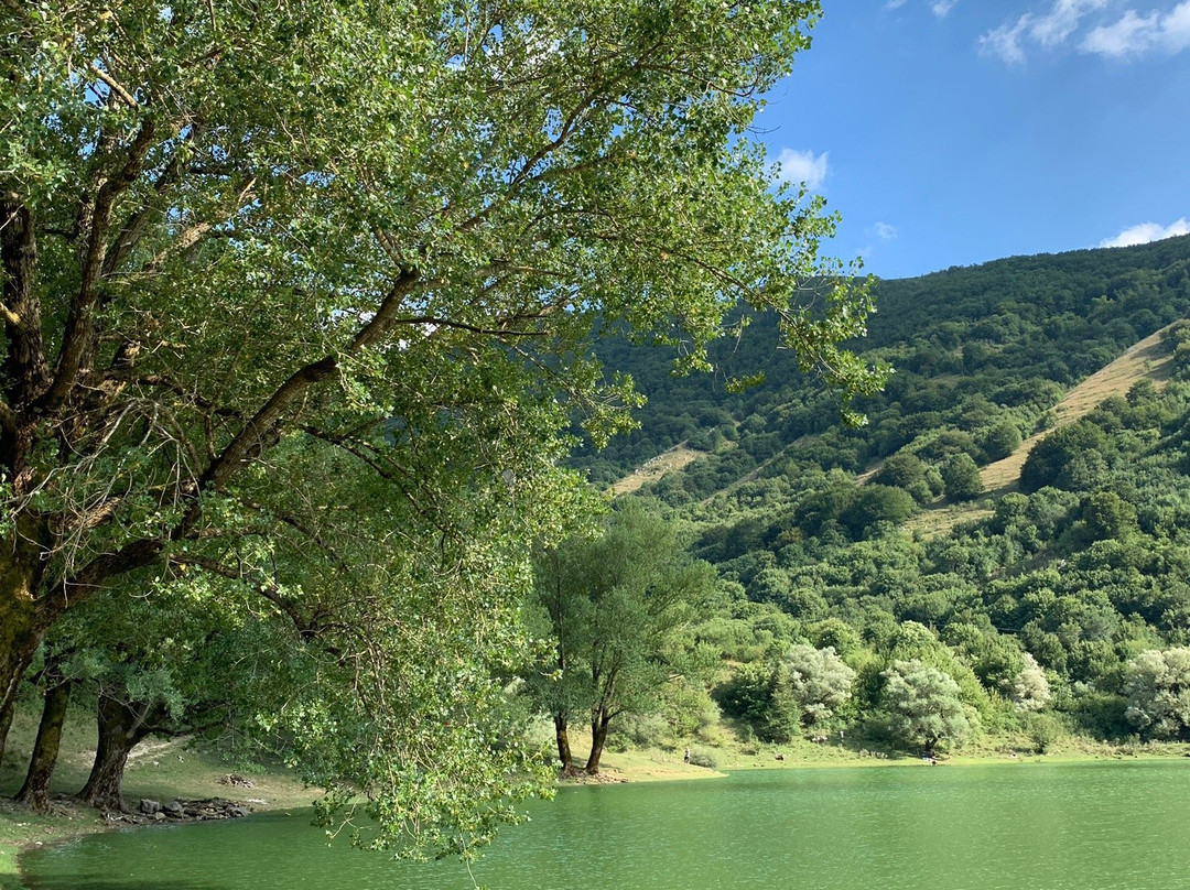 Lago di Letino景点图片