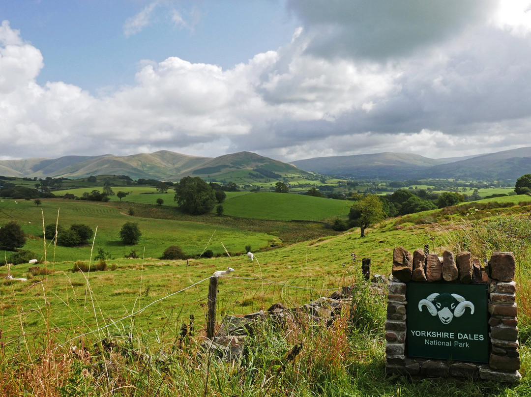 The Black Bull Inn and Restaurant主图