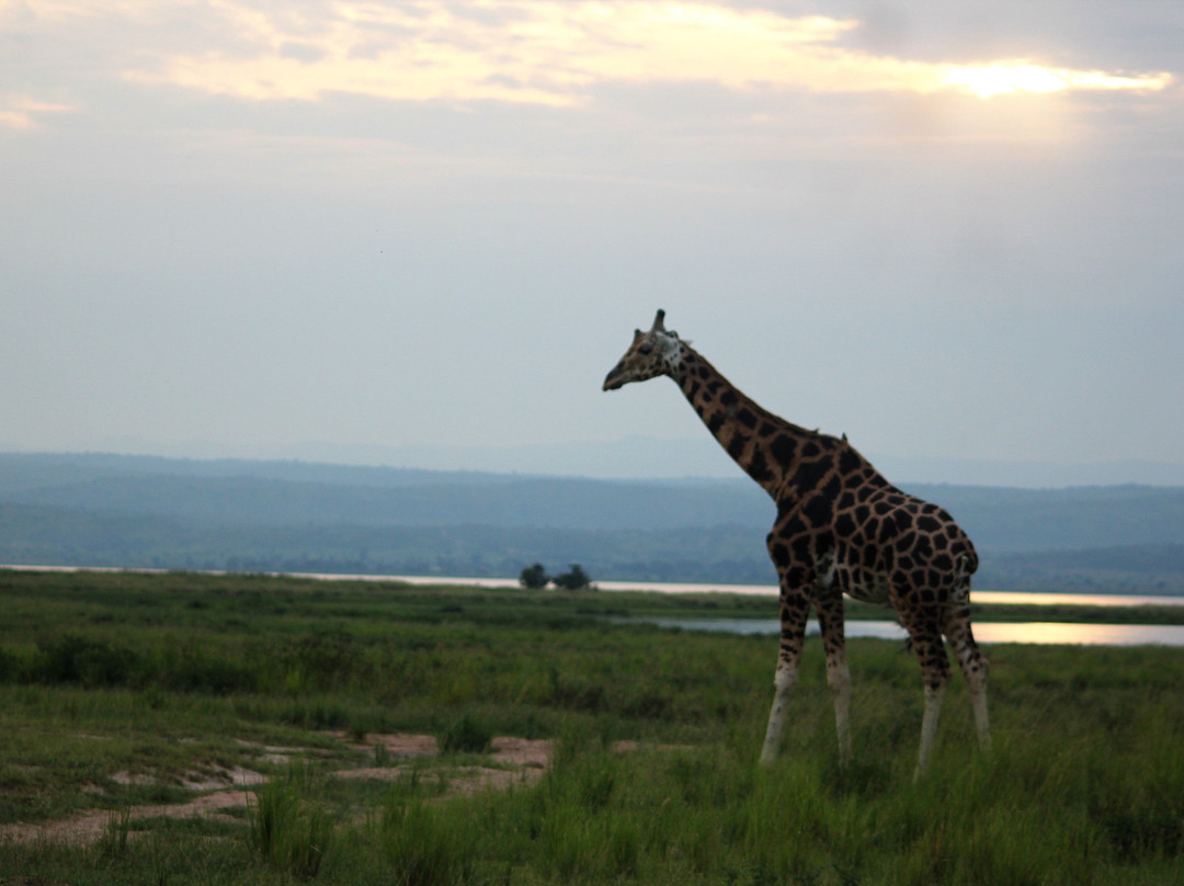 Watalii Safaris-坎帕拉必去景点