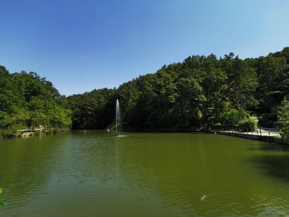 Parco Matildico di Montalto景点图片