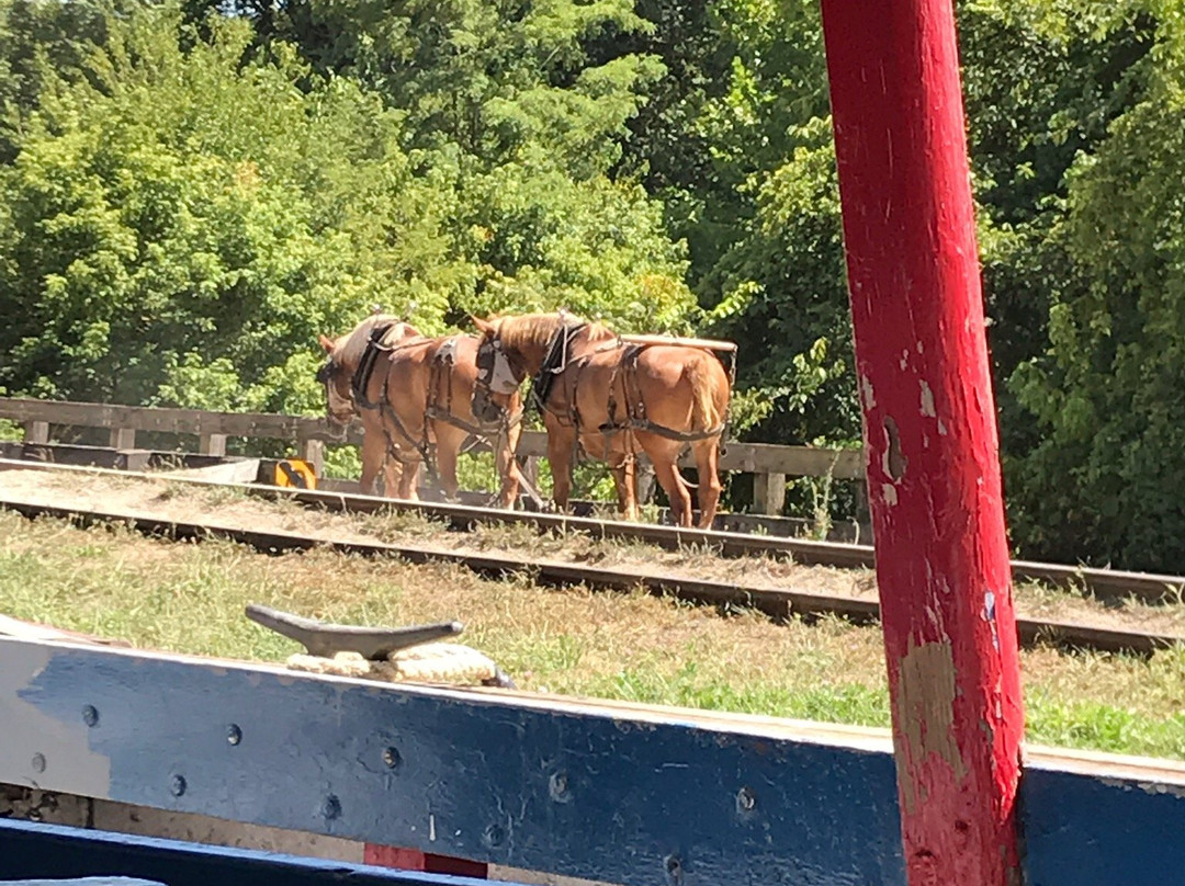 Metamora Grist Mill-Metamora必去景点