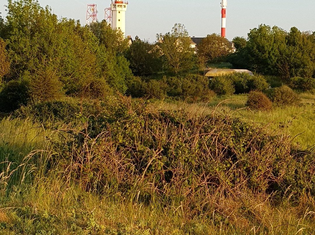 Cap de la Heve-勒阿弗尔必去景点