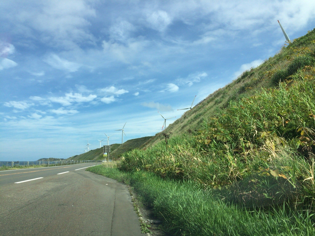Uehira Green Hill Wind Park-苫前町必去景点