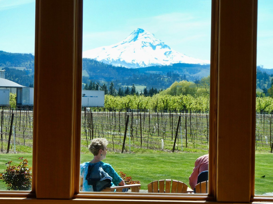 Mt. Hood Winery-胡德里弗必去景点