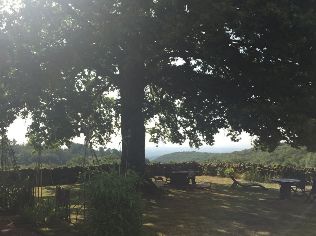 La Douce France主图