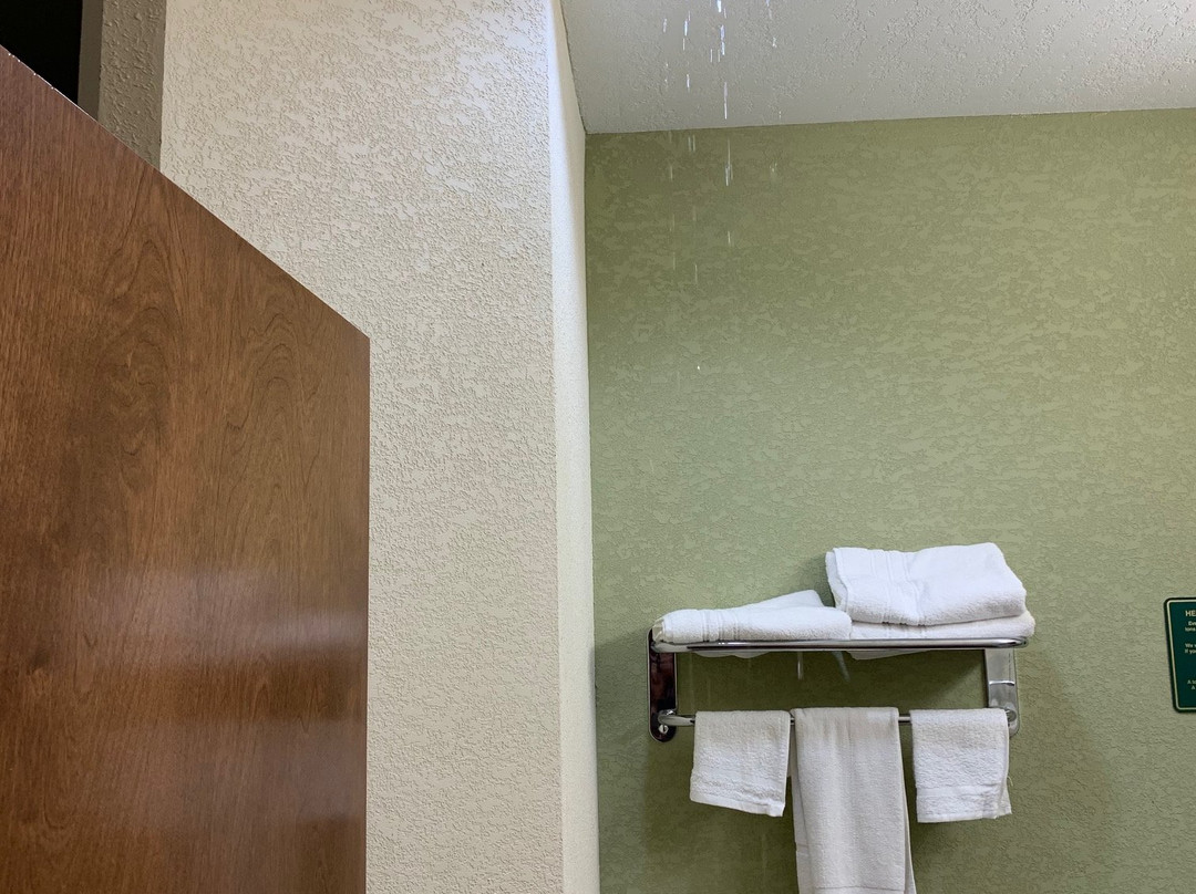 Hawthorn Suites By Wyndham Kingsland I-95/Naval Base Area主图