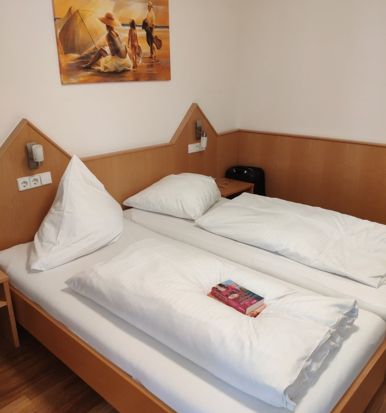 ates Hotel Kehl主图