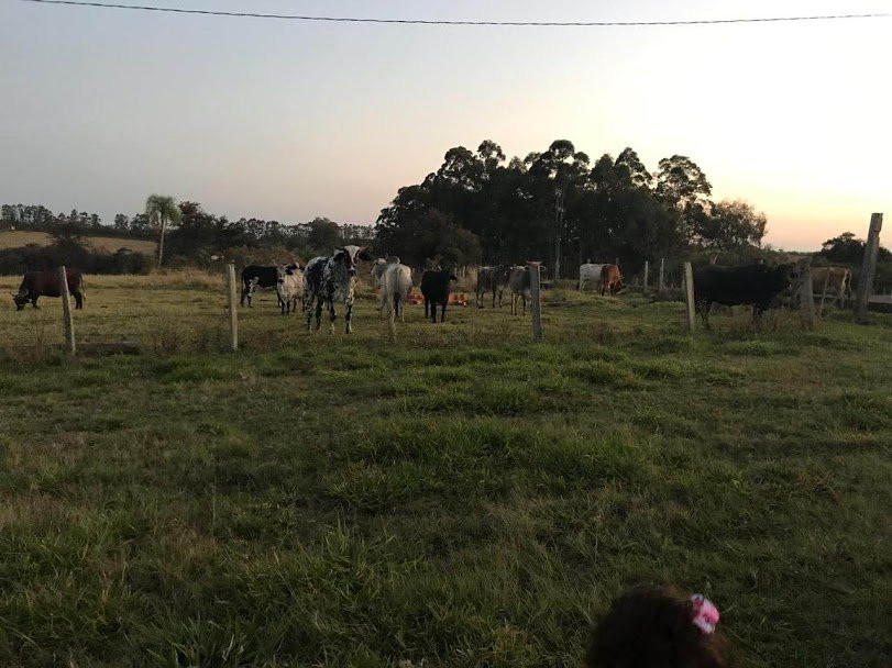 Hotel Fazenda Vida Bela主图