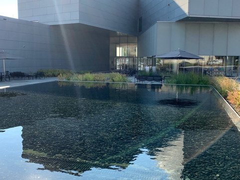 Richmond Arts District-里士满必去景点