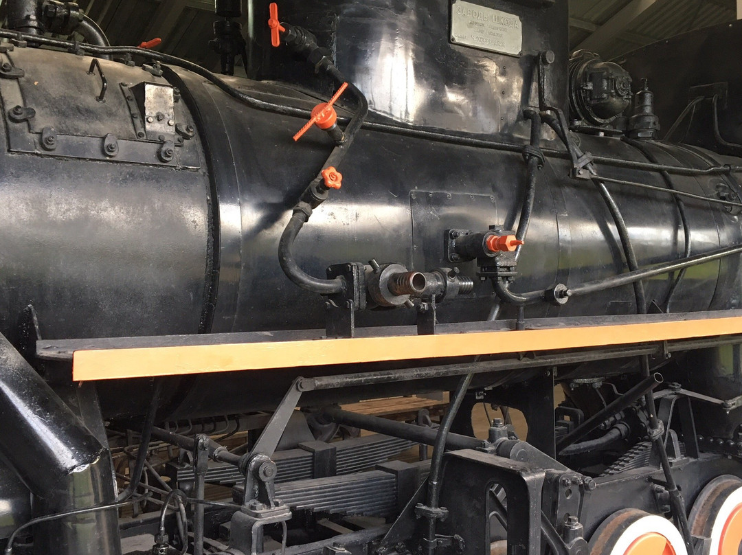 Narrow-Gauge Railway Museum-阿尼克什奇艾必去景点