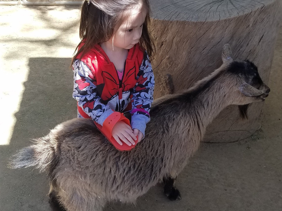 Orange County Zoo-橘子郡必去景点