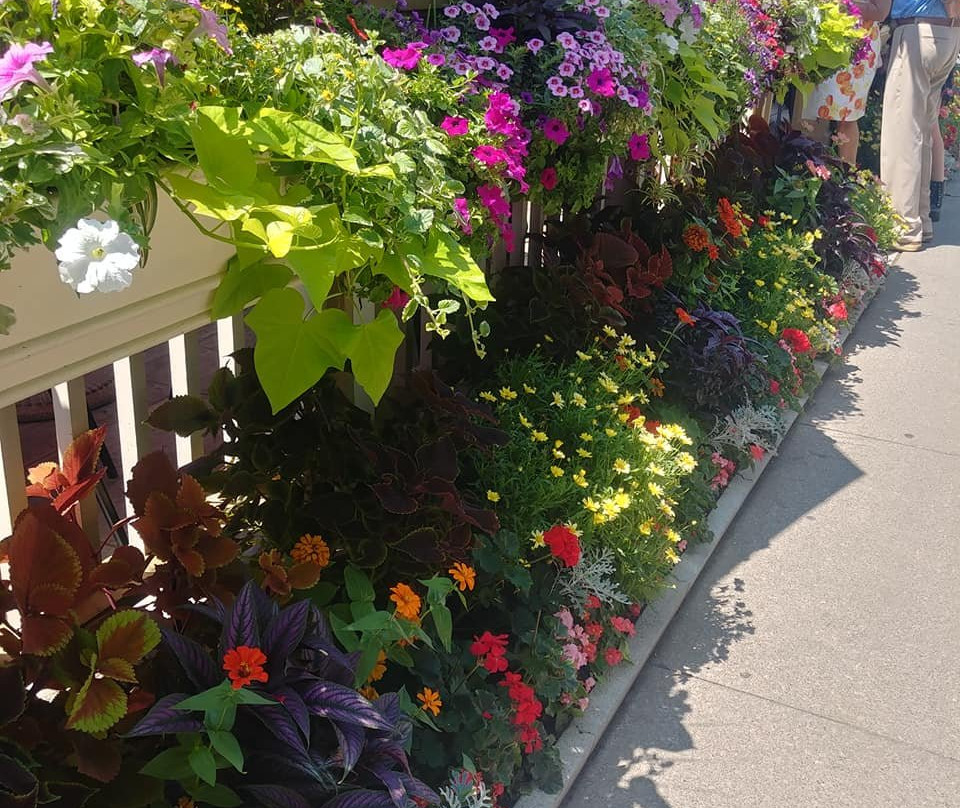 Vino Velo-滨湖尼亚加拉必去景点