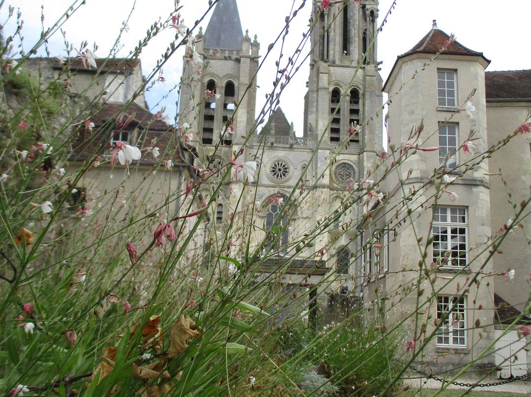 Cathédrale notre-dame de Senlis-桑利斯必去景点