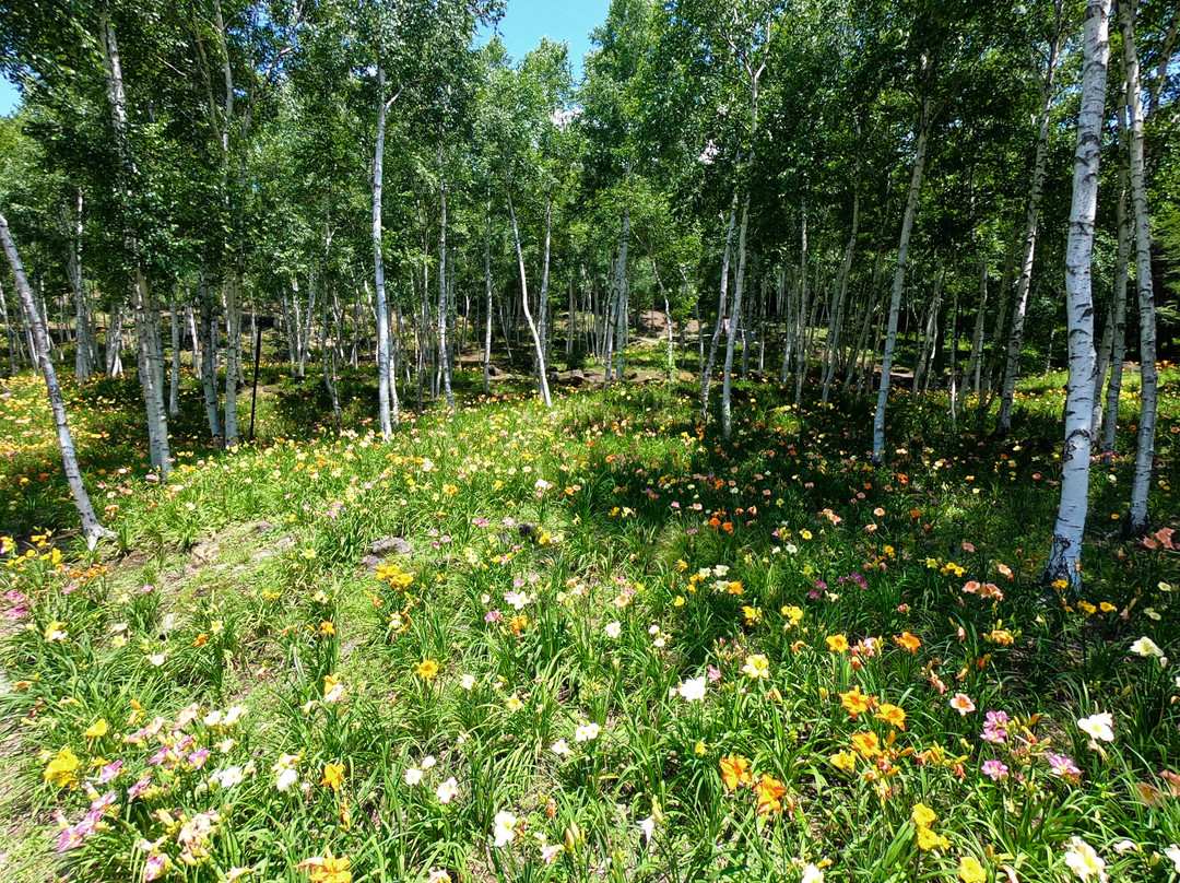 Fujimi Kogen Rresort Hananosato-富士见町必去景点