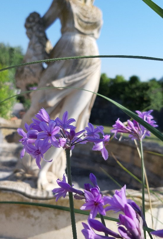 Terra di Venera - Guest House主图