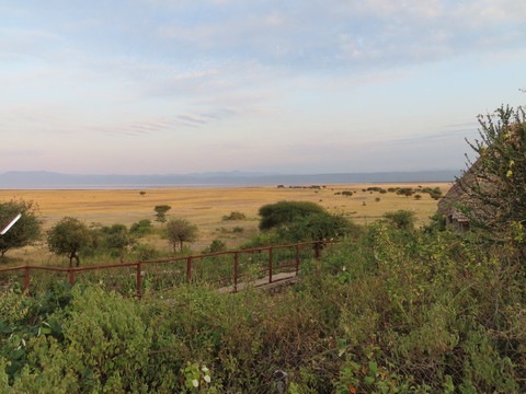 Rift Valley Photographic Lodge主图