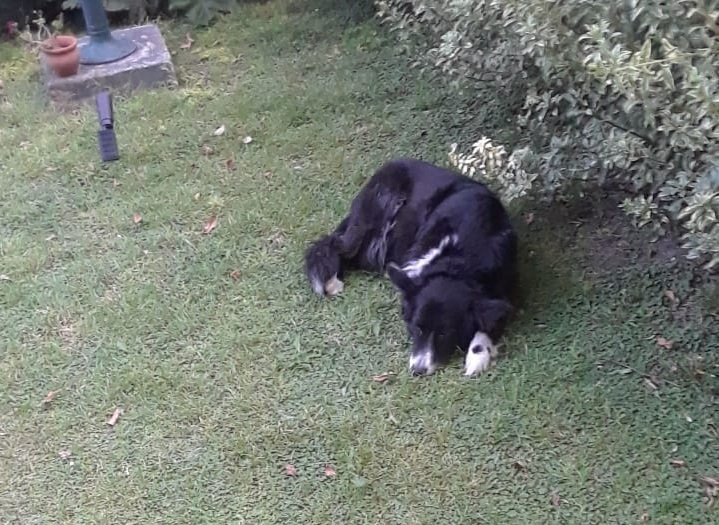 Posada Don Salvador主图