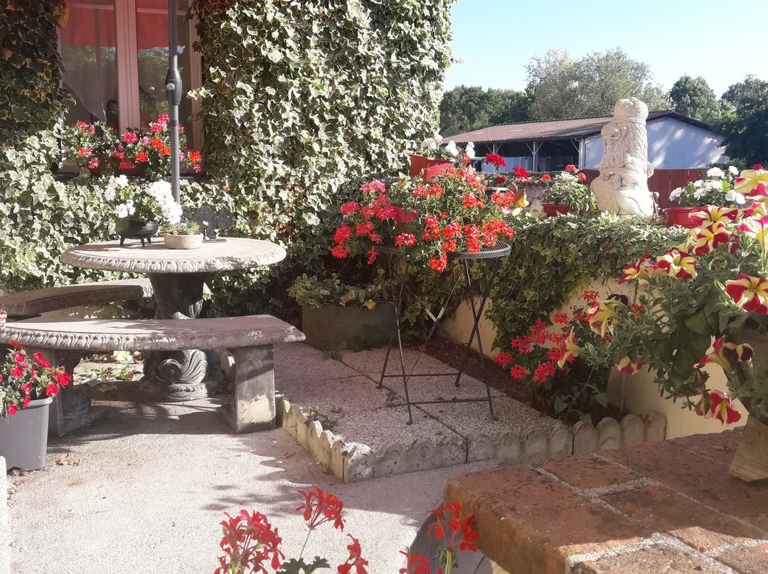 Sunset House Bed and Breakfast主图