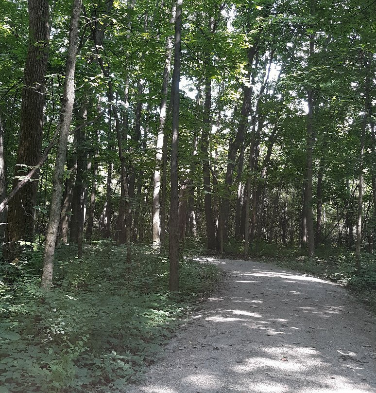 Fallen Timbers Battlefield-莫米必去景点