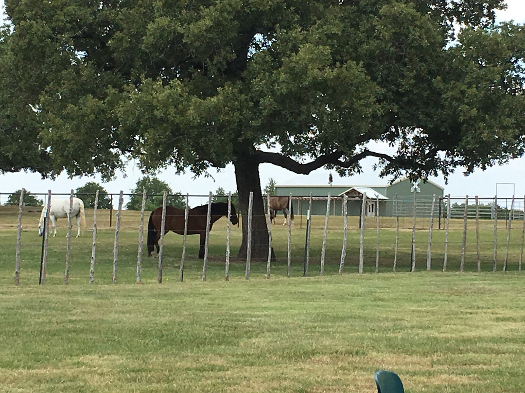 Marker Cellars Winery-Alvord必去景点