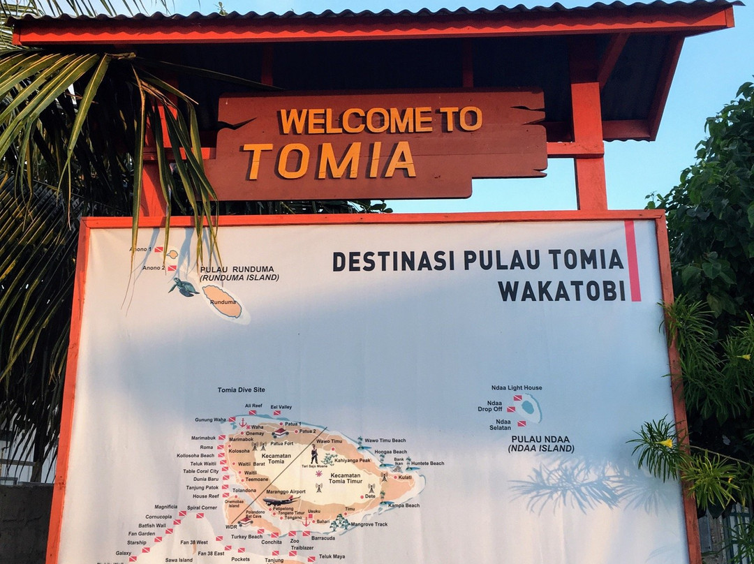 Tomia Scuba Dive景点图片