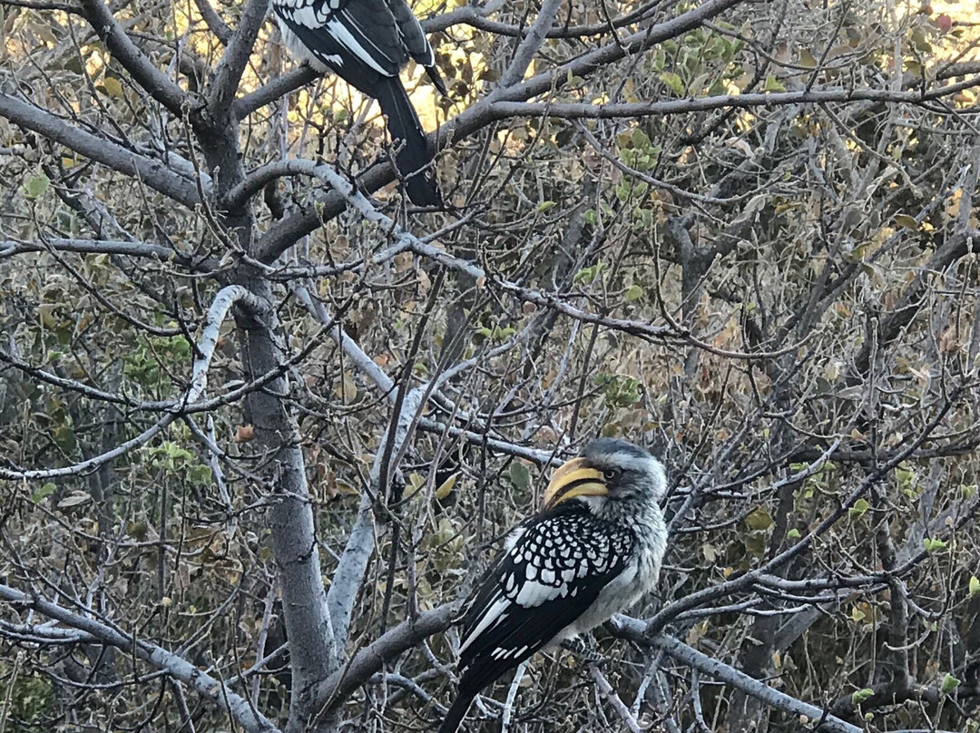 Mabalingwe Nature Reserve-贝拉贝拉必去景点