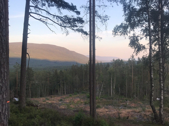 Breiva Gjestegaard og Glamping主图