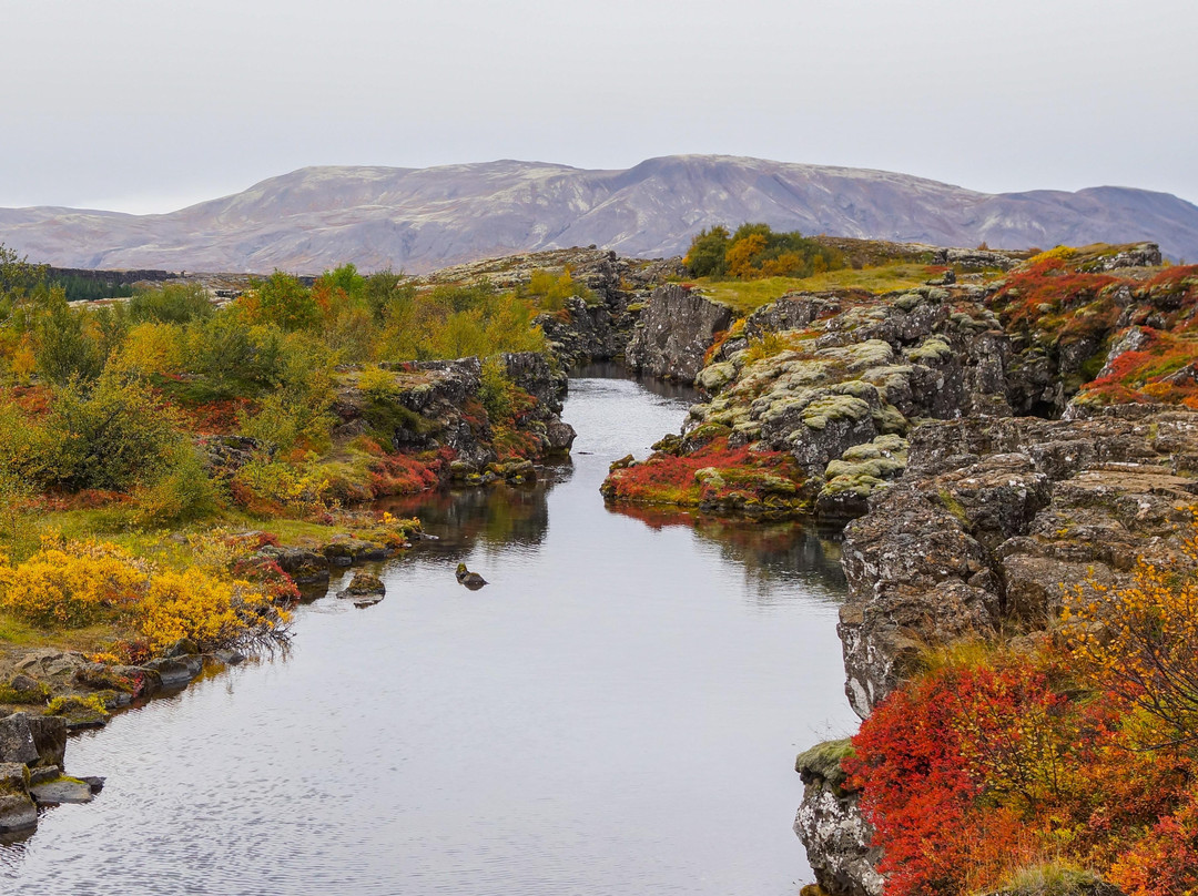 Discovery 4 you tours-雷克雅未克必去景点