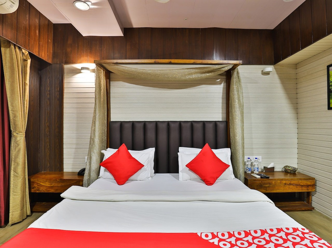 OYO 25065 Hotel Shree Daan主图