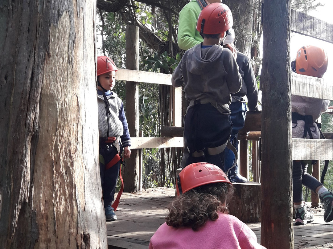 Termas de Quinamavida主图