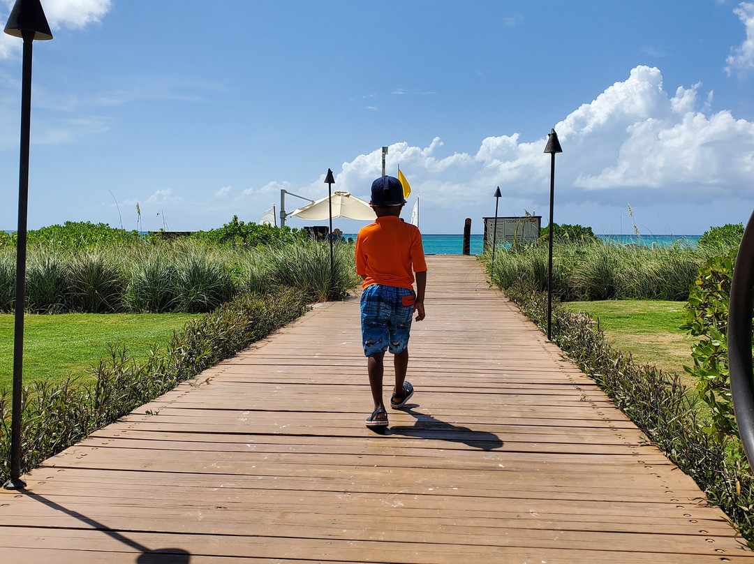 The Somerset on Grace Bay主图