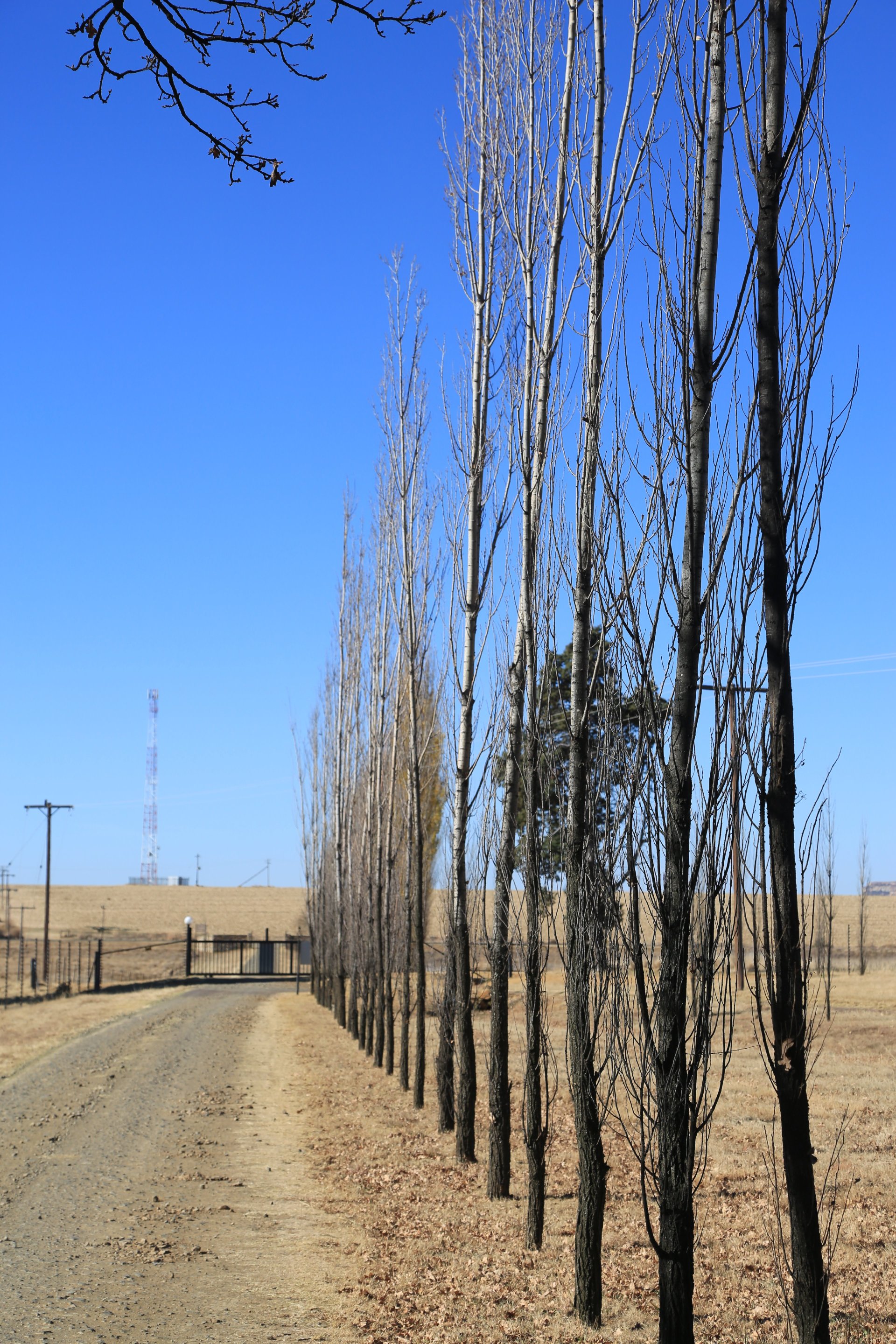 Baris Guesthouse-浴室