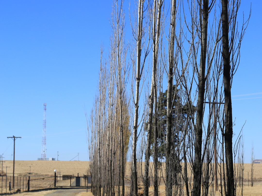 Baris Guesthouse主图