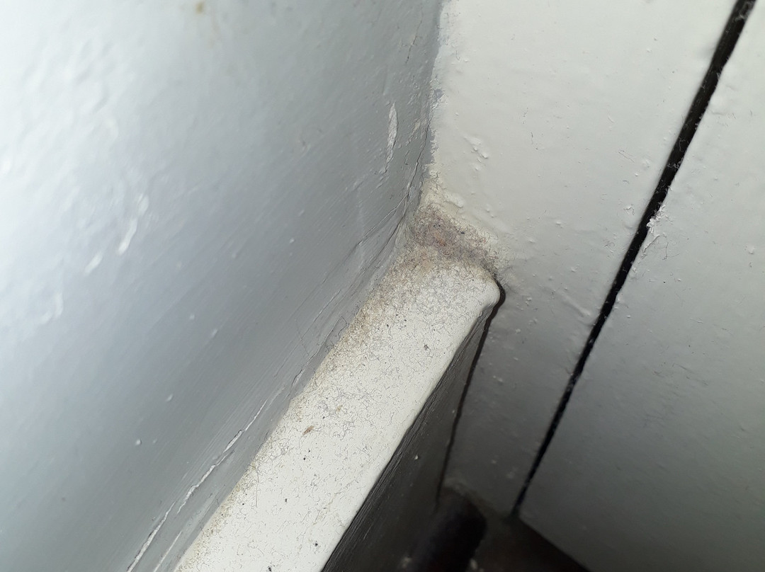 The Bear (Hotel)主图