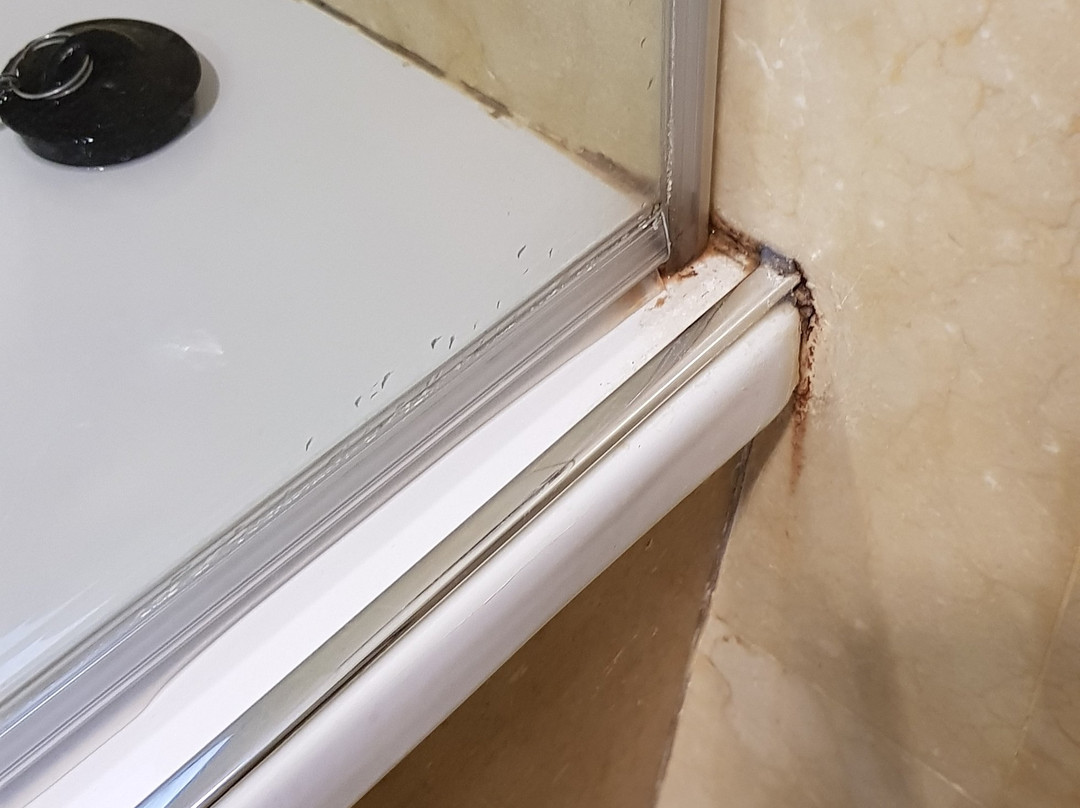 Sercotel Palacio de Tudemir主图