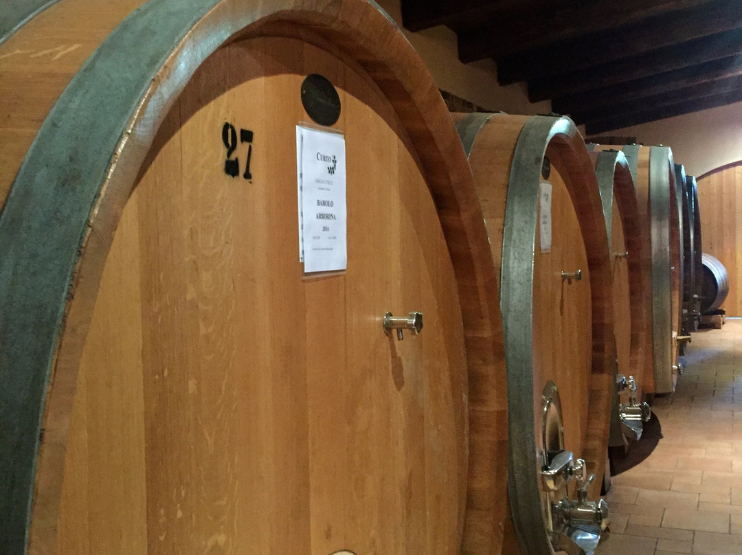 Azienda Agricola Curto Marco-拉莫拉必去景点
