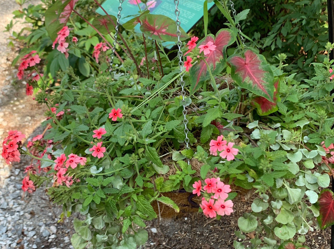 Freedom Park-威廉斯堡必去景点