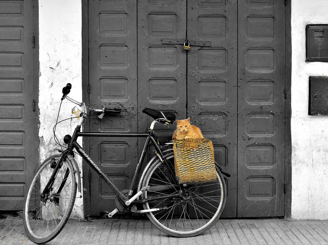 la boutique photo-Ourika必去景点