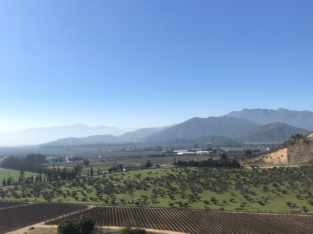 Casablanca Valley Wine Route景点图片