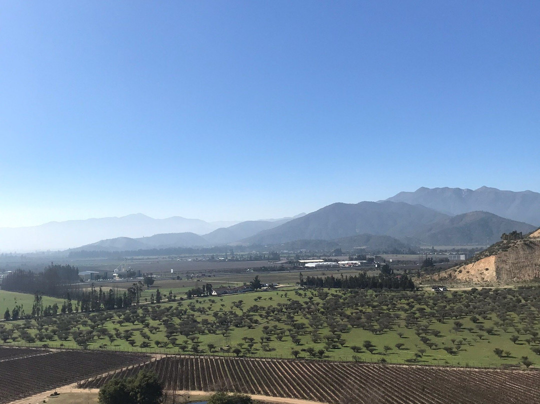 Casablanca Valley Wine Route-卡萨布兰卡必去景点
