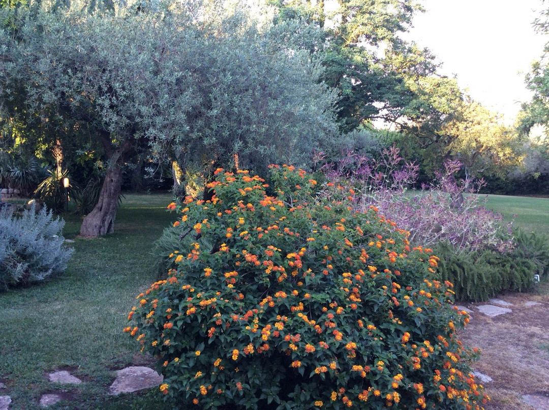 Mothuq Garden - House主图