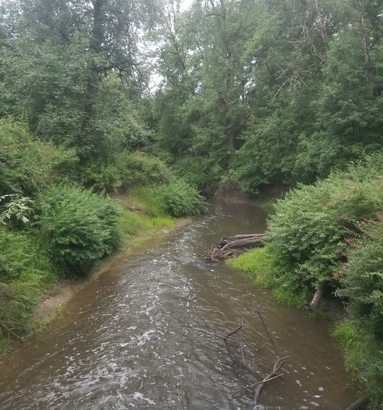 Rood Bridge Park-希尔斯伯勒必去景点