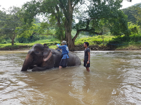 Chiangmai Jungle Trekking-清迈必去景点