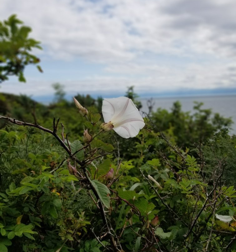 Dallas Road Beach-维多利亚必去景点