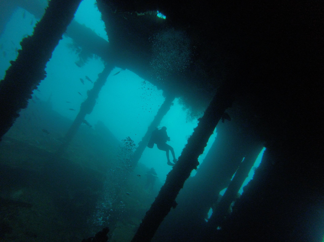 Japanese Ship Wreck Point景点图片