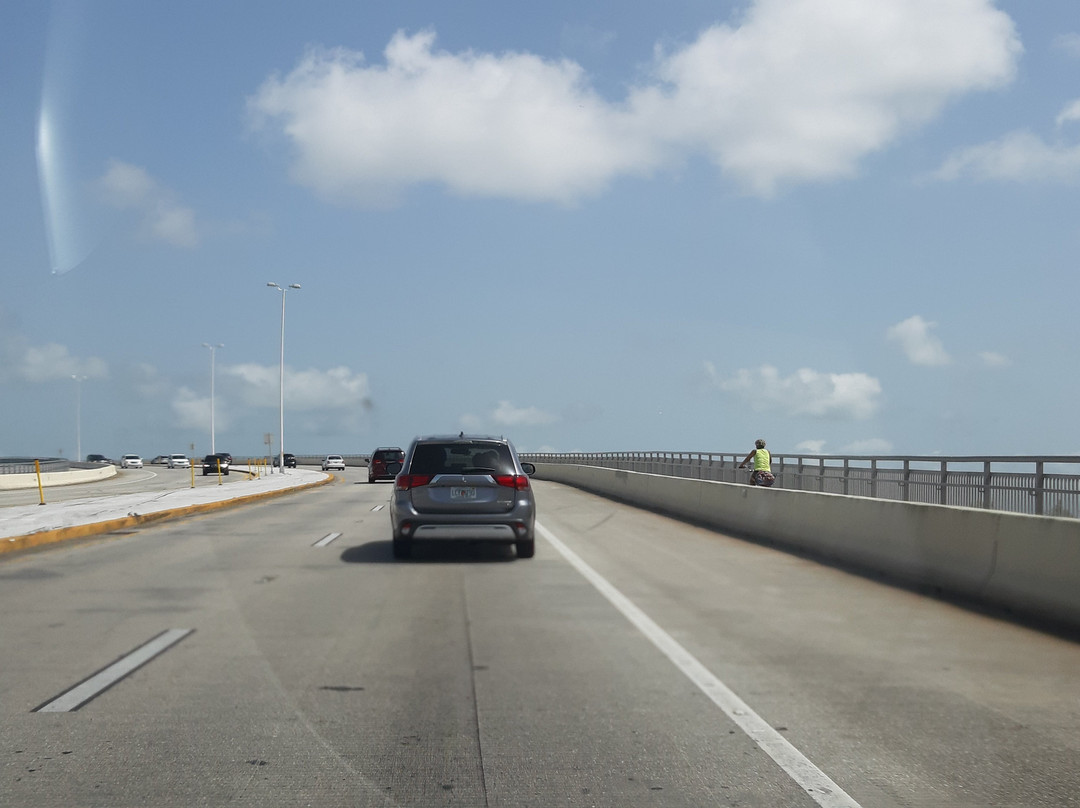 Courtney Campbell Trail-坦帕必去景点